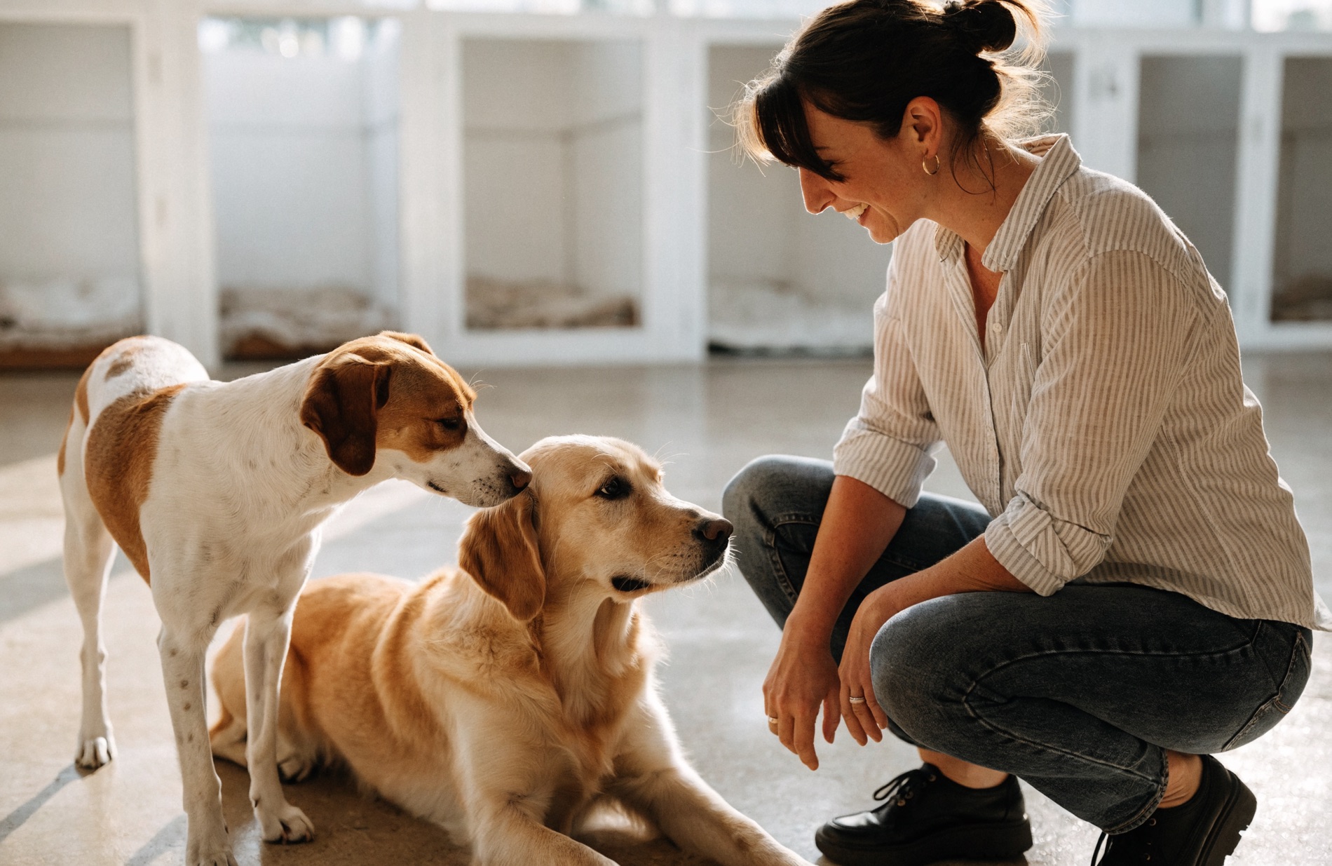 A boarding-kennel owner with two happy dogs in a clean, sunlit facility